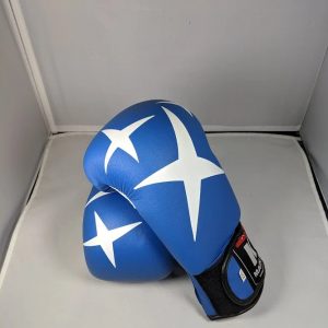 Boxing gloves 2010